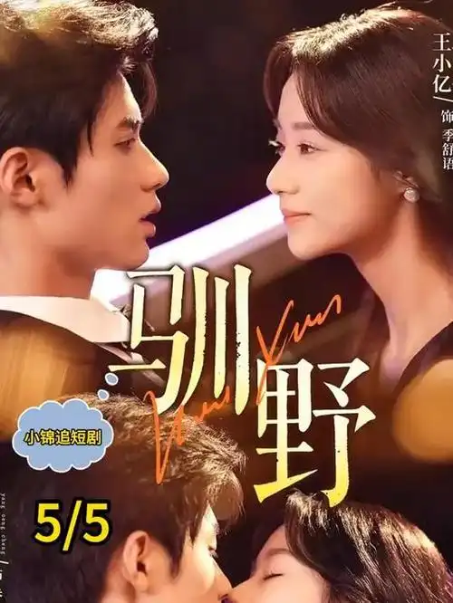 动漫新番 电影天堂网站免费在线观看